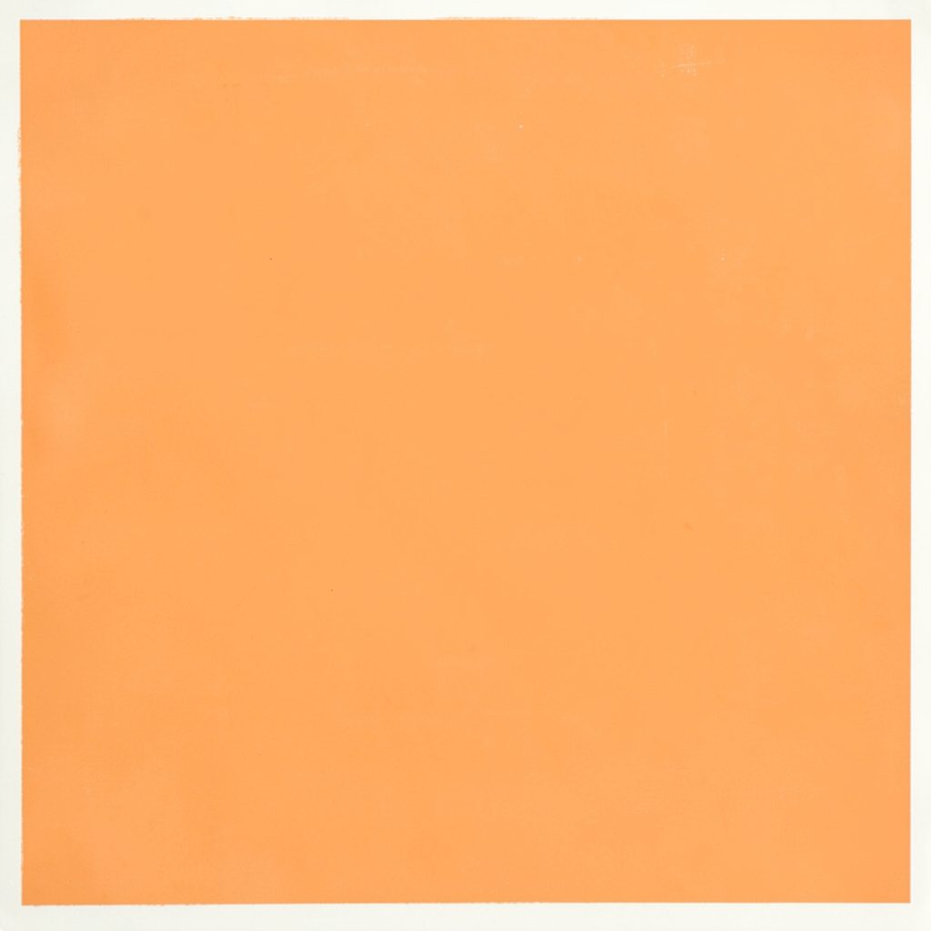 Matte gouache portrait in soft brown tones of a veterinary speaker, gentle and approachable